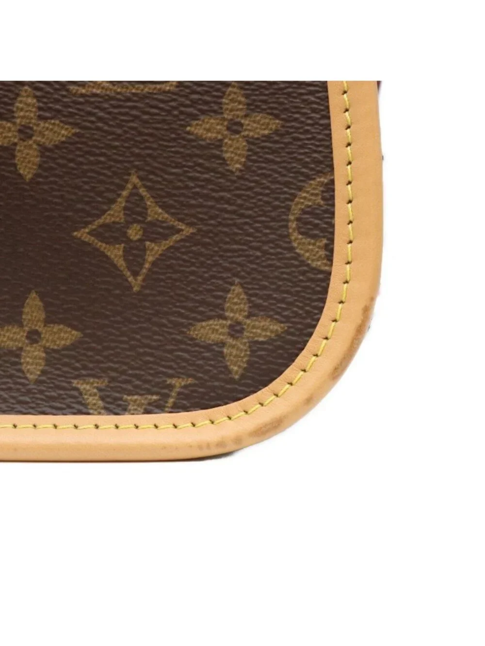 Louis Vuitton Monogram Noir Diane NM PM Shoulder Bag